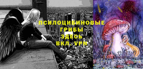твердый Вязьма