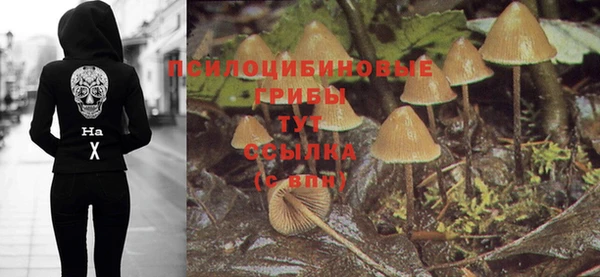 твердый Вязьма