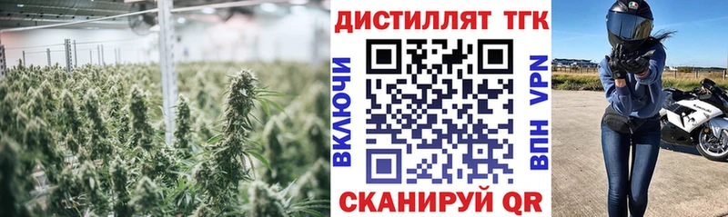 OMG   где найти наркотики  Грозный  ТГК жижа 